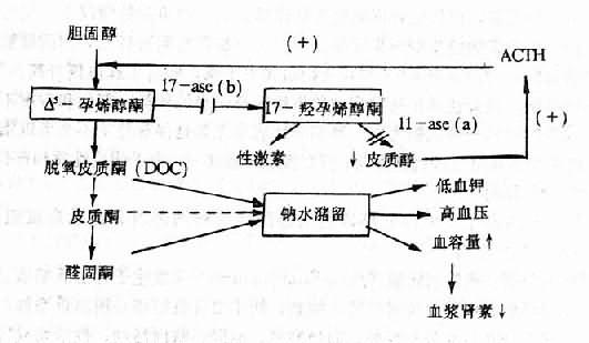 11-ǻø11-ase17- ǻø17-aseȱʱѪѹʾͼ