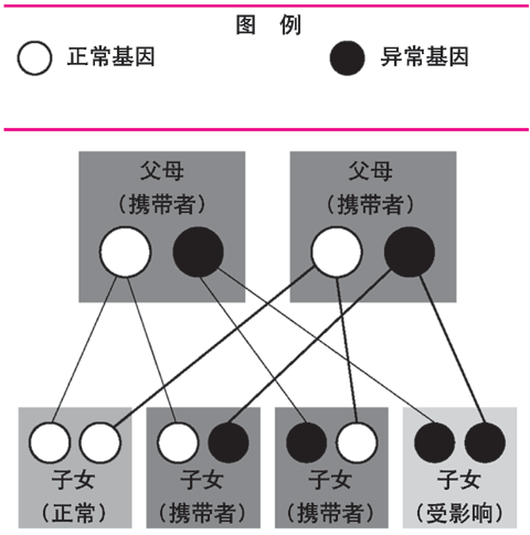 쳣ԻŴ