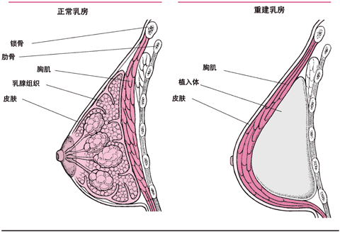 鷿ؽ