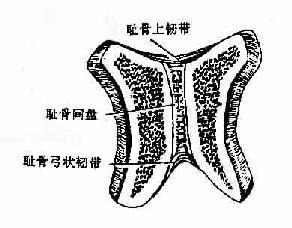 ܹϣ״棩