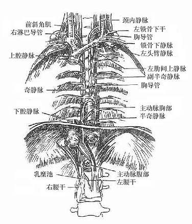 صܺ澲