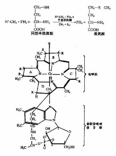 άB12Ľṹ