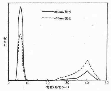 Sephadex G-25 FITC 