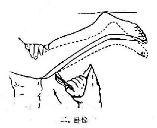 λϥ췴