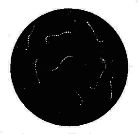 钩端螺旋体(暗视野映光法)