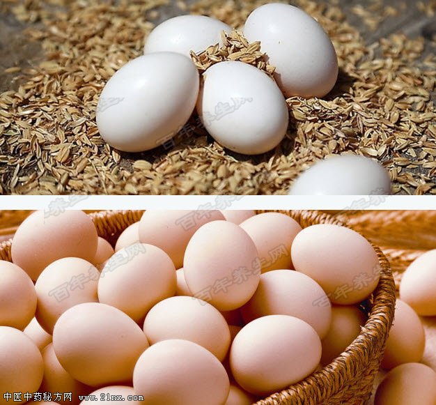 鸽子蛋的补肾功效